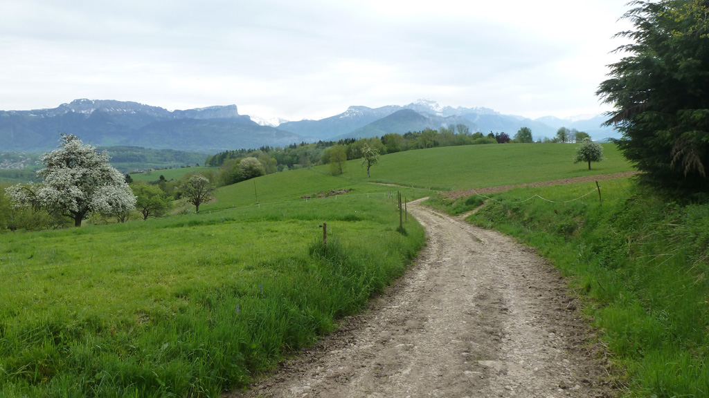 le Parmelan et la Tournette depuis les Burnets